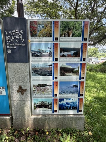 image2 (19)