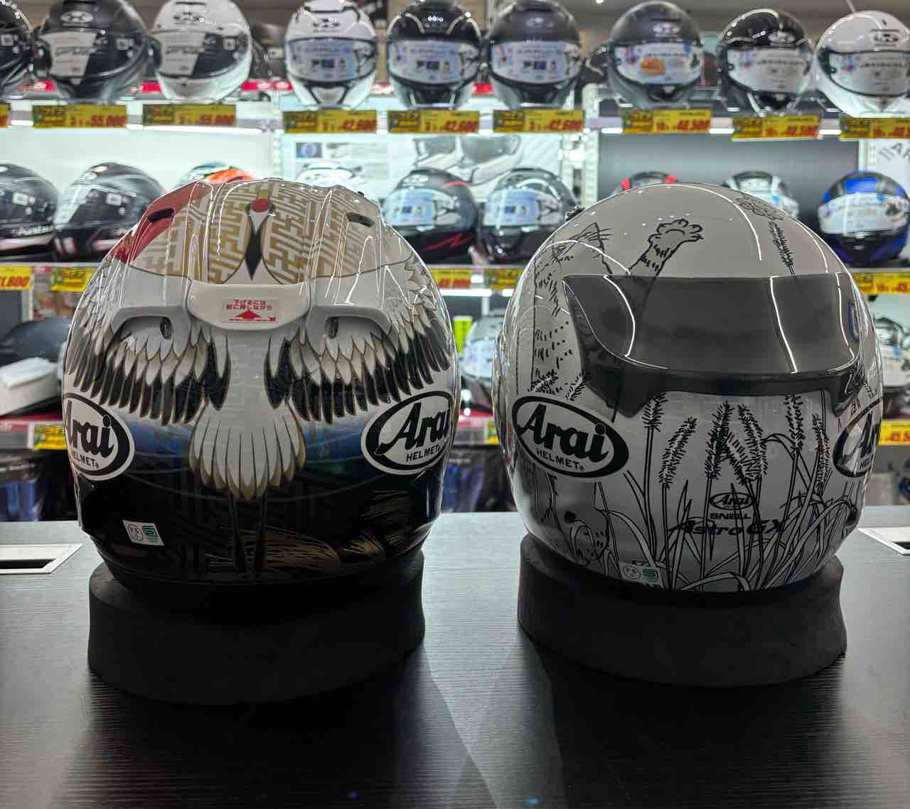 柏沼南2りんかん】ネコ、ツバサ❕再入荷しました❕❕ : 2りんかんブログ