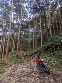 PXL_20251103_022556772