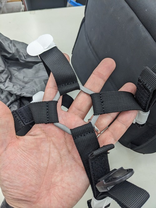 PXL_20250118_043503376