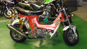 IMGP0039