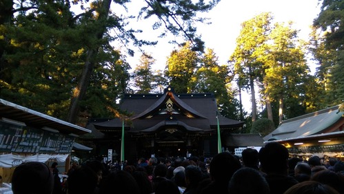 IMAG0618