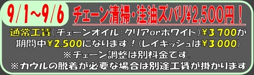 �����꡼�󥷥�å�_26-8-2026_16126_livedoor.blogimg.jp