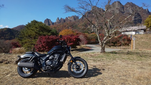 RENTAL REBEL1100002