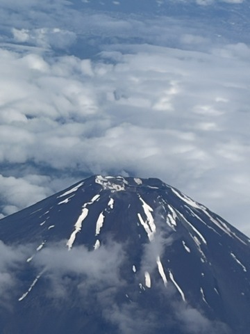 image1 (14)