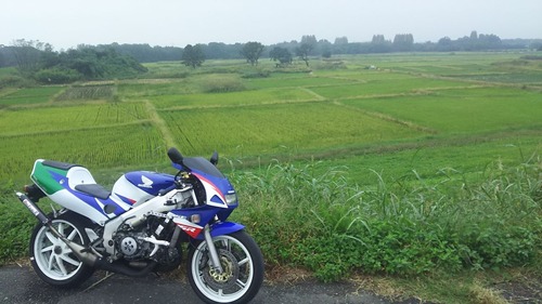 NSR250R Ž×ŽËŽÞŽØŽÝ޽޼ްŽÙ2 006