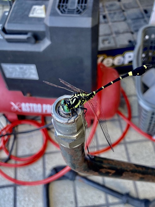 座間2りんかん】タイヤのエアチェックは月1が目安♪ : 2りんかんブログ