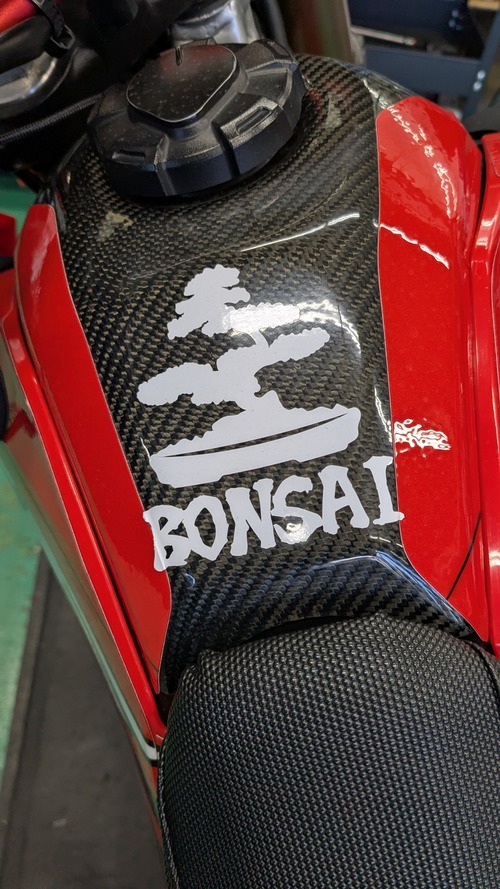 PXL_20251226_065747088