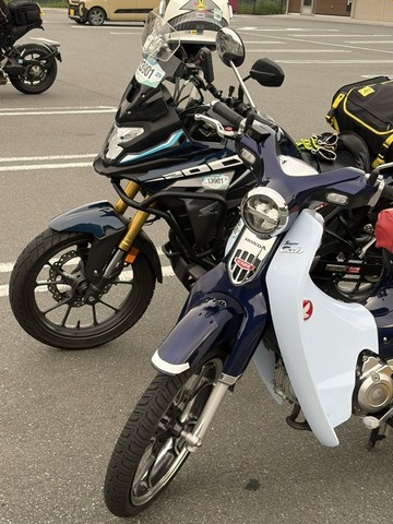 image2 (6)