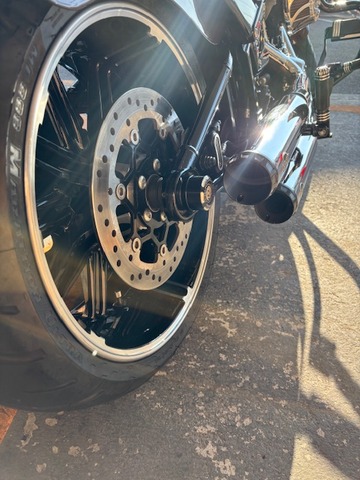 IMG_7594.jpg¥Ï¡¼¥ì¡¼¥Û¥¤¡¼¥ë£¹