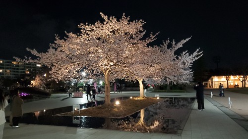20250414_200606