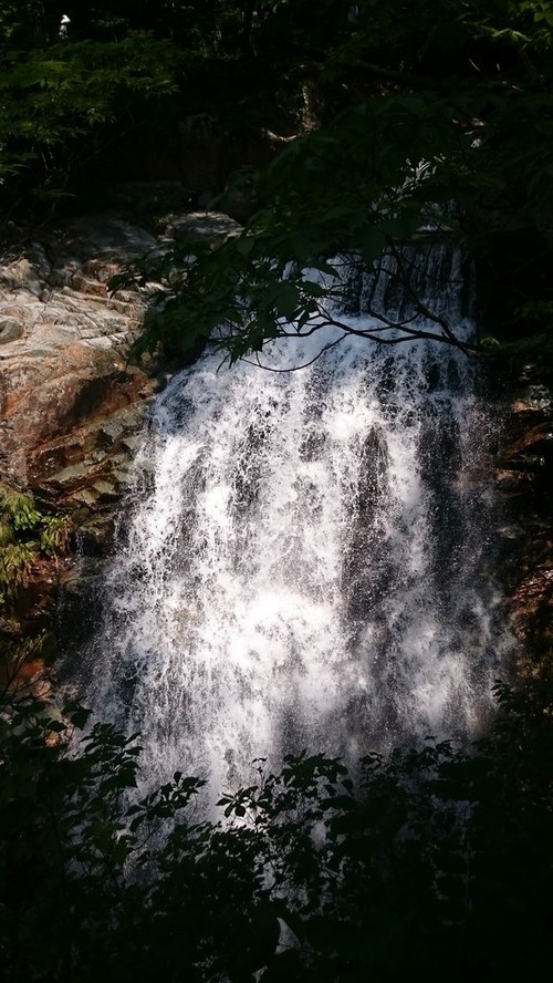 DSC_1197