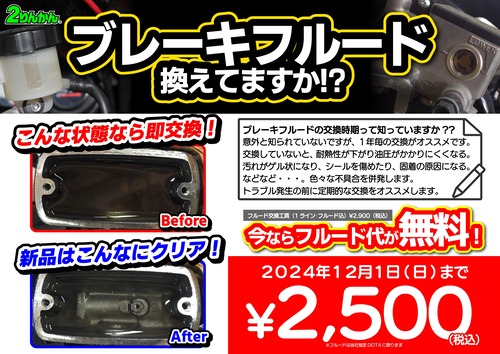 ¥Ö¥ì¡¼¥¥Õ¥ë¡¼¥ÉCp_24y11_A4