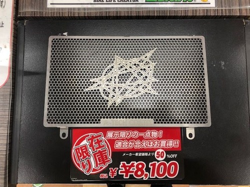 ŽÆŽÝ޼ŽÞެ250R¥é¥¸¥¨¥¿¡¼¥¬¡¼¥É