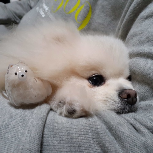 IMG_20260215_202828_005