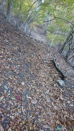 中之倉峠登山道1