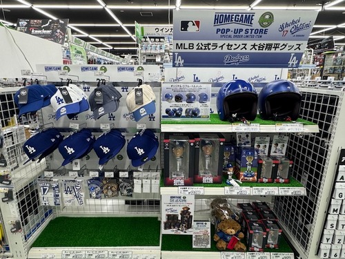 ��ë��ʿ���å�