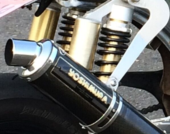 ４ミニは好きですか ２りんかんブログ