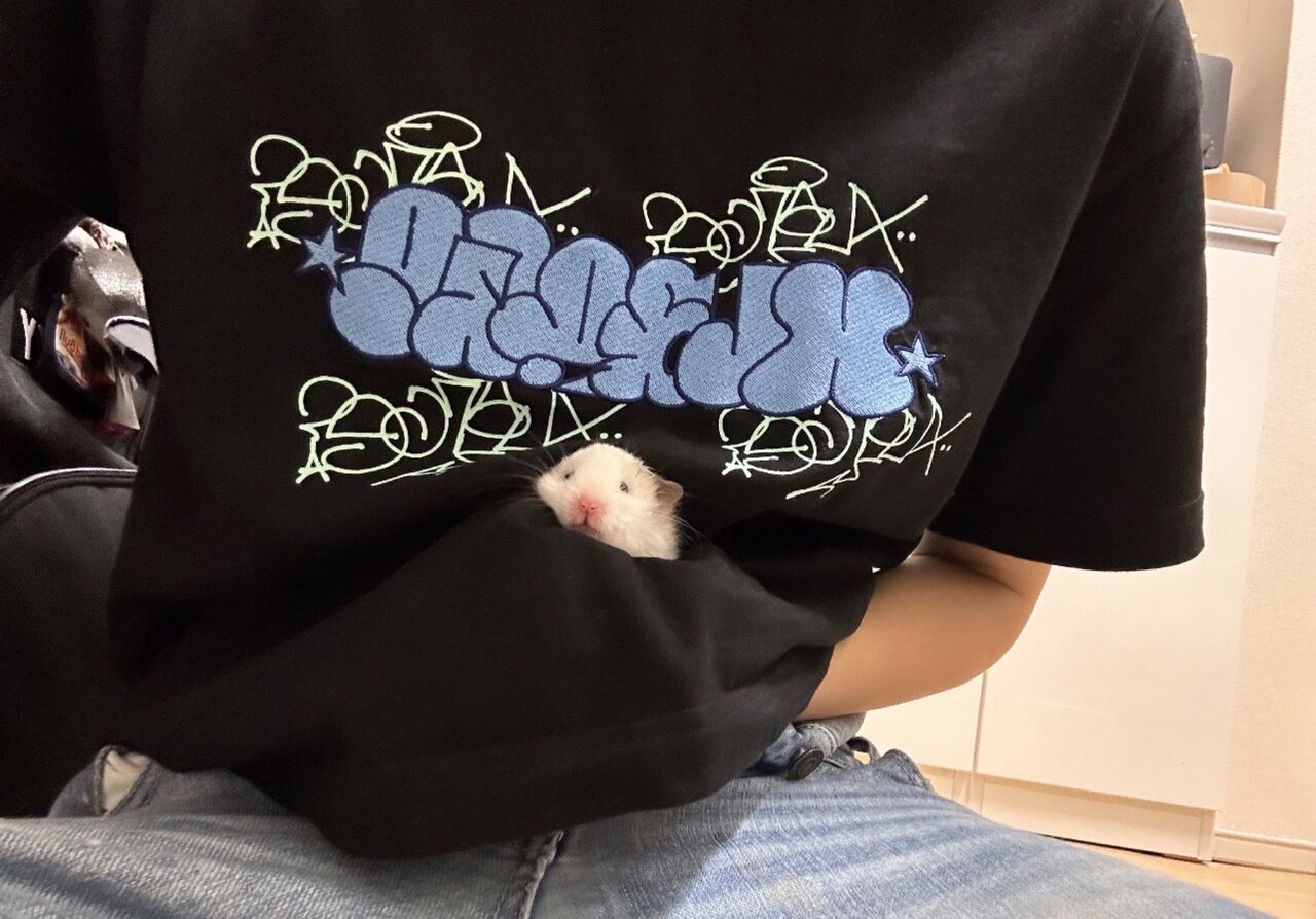 伏見2りんかん】値上げ前に急いで！！！！⛑ : 2りんかんブログ