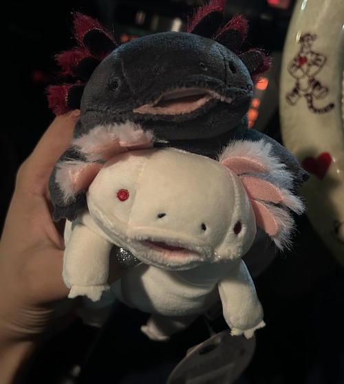 ¥¦¡¼¥Ñ¡¼¥ë¡¼¥Ñ¡¼Çò¹õ