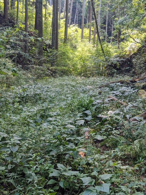 PXL_20251014_024520485