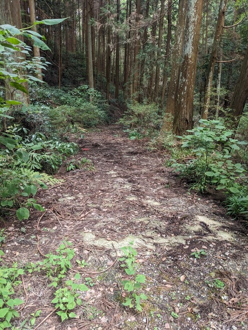 PXL_20251014_035715179