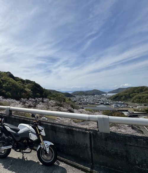 image1 (3)
