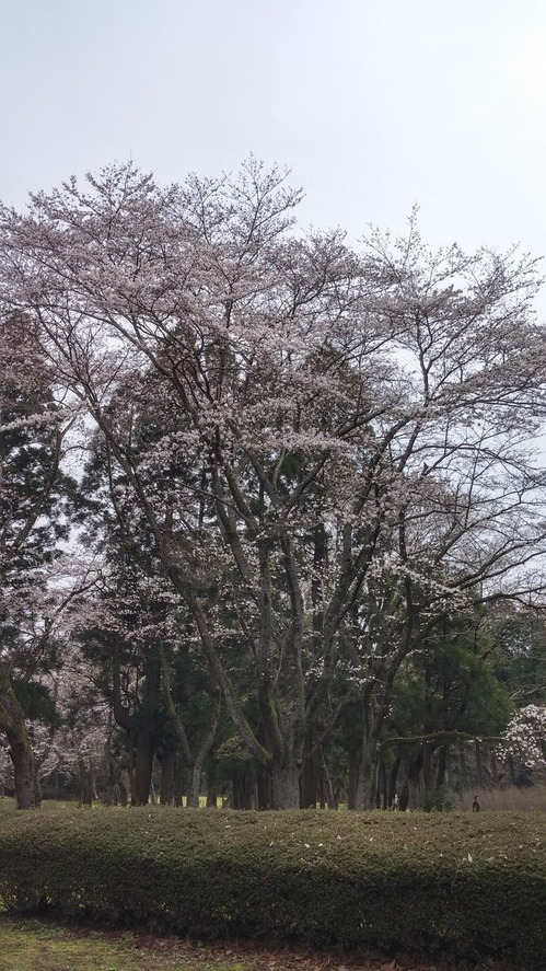 20160330_133852_HDR