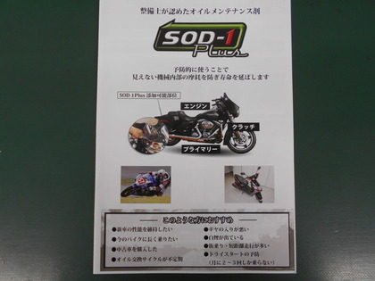 DSCN0746