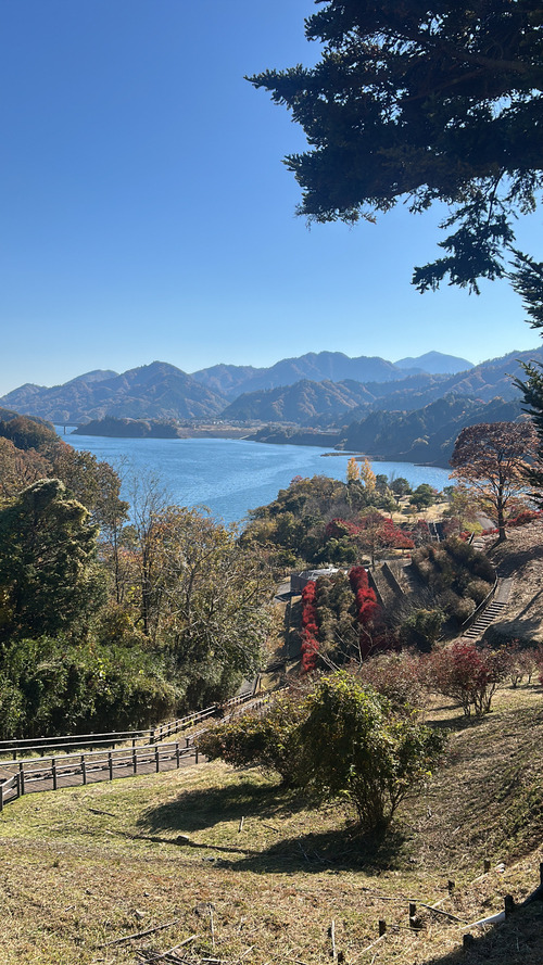 �ܥ�������