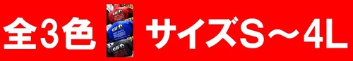 ¥¨¥ë¥Õ02