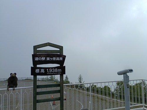 IMG_20260716_090730_1