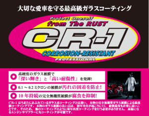 pit_cr1-300x234