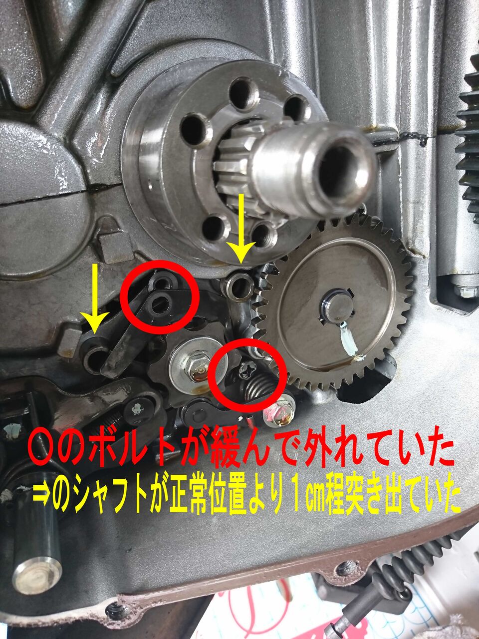 へるめっとKEEPER即日可能です！ : 2りんかんブログ