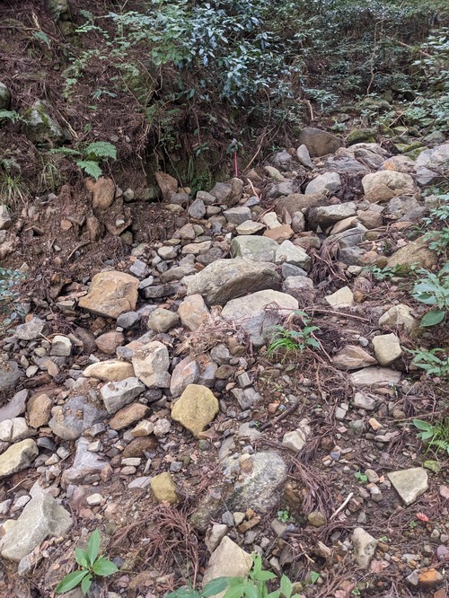 PXL_20251014_033829996