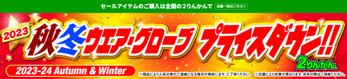 キャプチャ1