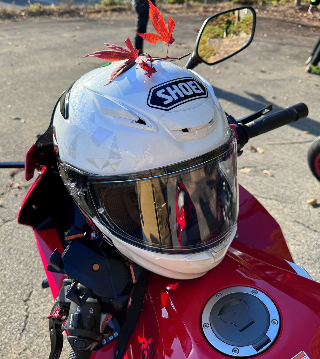 みかりん 美女木2りんかん】SHOEI Z-8×初音ミク : 2りんかんブログ