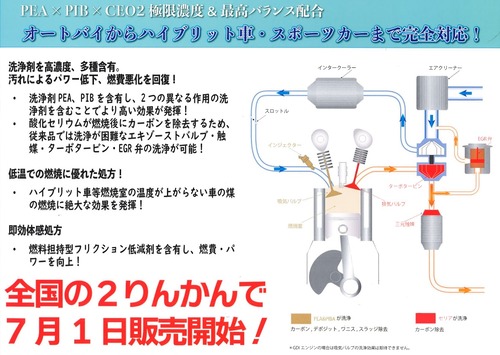 ¥Õ¥å¡¼¥¨¥ë¥Ý¡¼¥·¥ç¥ó£³¢ö