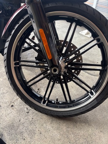 IMG_7587.jpg¥Ï¡¼¥ì¡¼¥Û¥¤¡¼¥ë£²