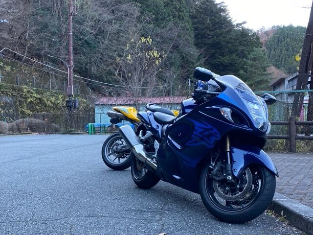 かっこいいやろハヤブサ