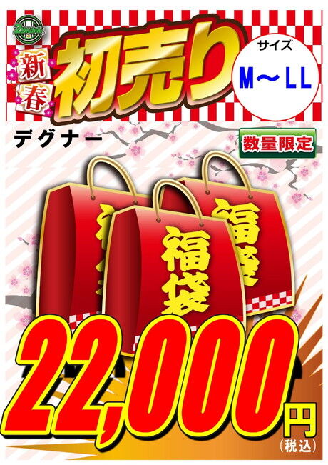 2022年初売SALE【デグナー革ジャケットセット】のご紹介！ : 2