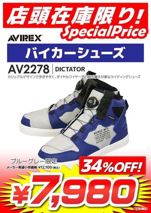 ¡þŹƬºß¸Ë¸Â¤ê_AVIREX DICTATOR_page-0001