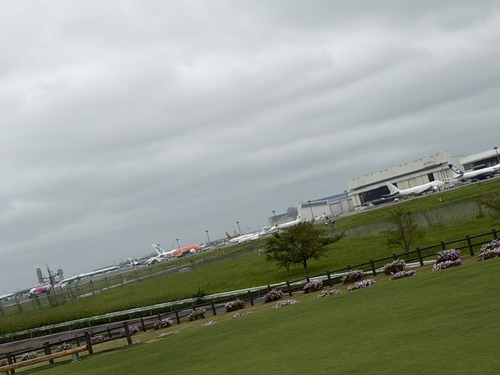 image1 (32)