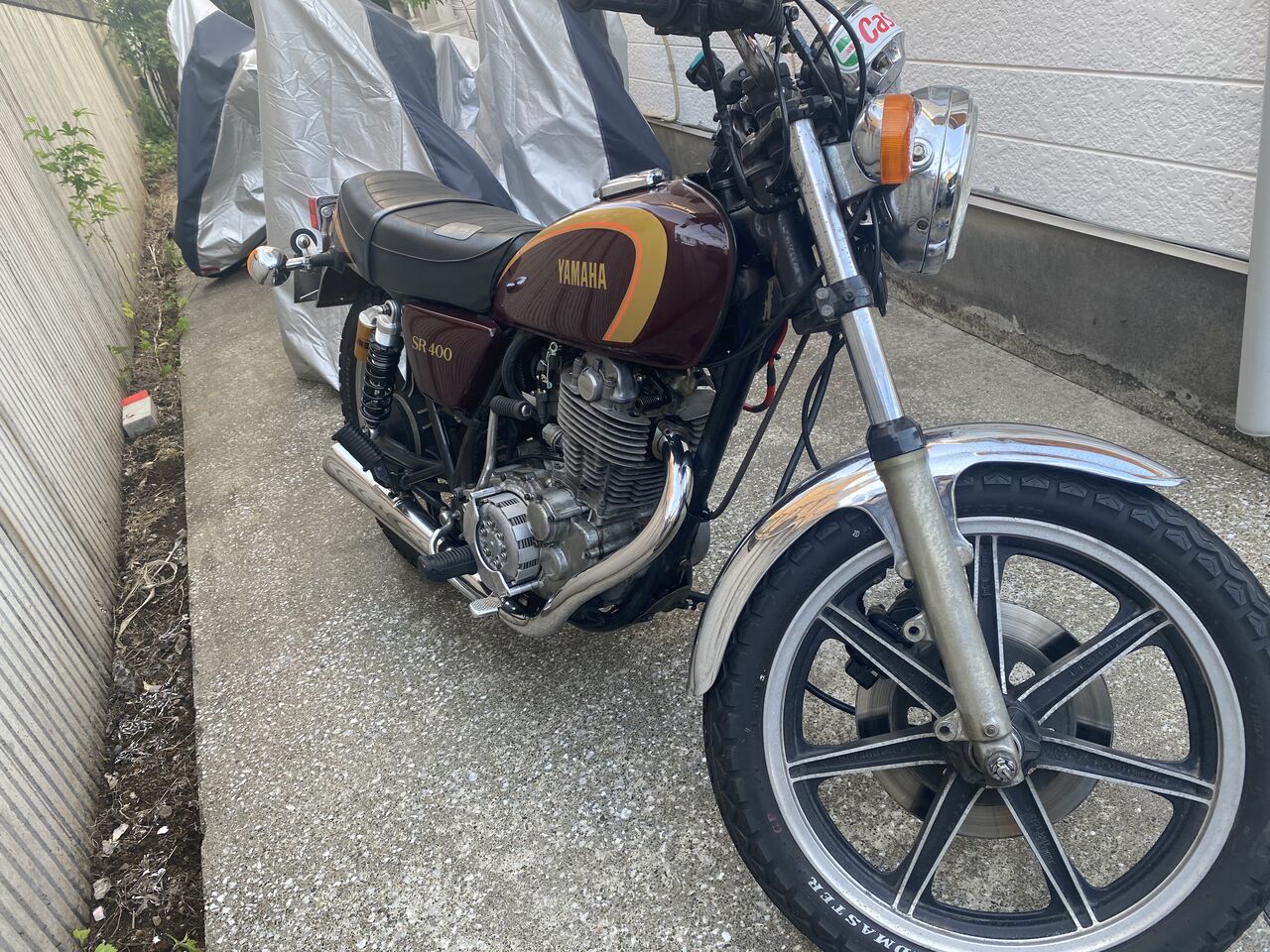 Z900RS用のセパハンあります！【溝口】 : 2りんかんブログ