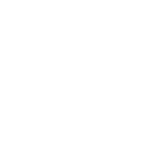 evo_01_explanation_03