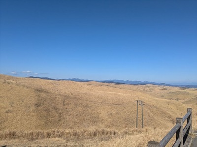 2026.2.19���ɣ�