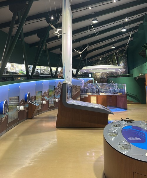 �դ줢���ʳش۴���