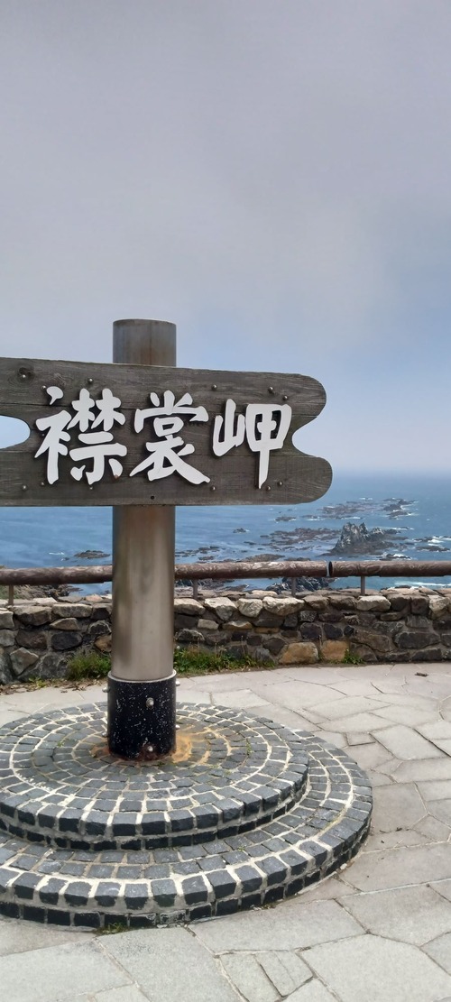 IMG_20250618_114319 (2)