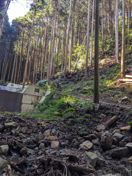 PXL_20251017_020156271