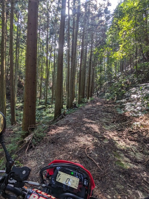 PXL_20251014_024131324